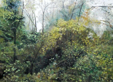 La foresta